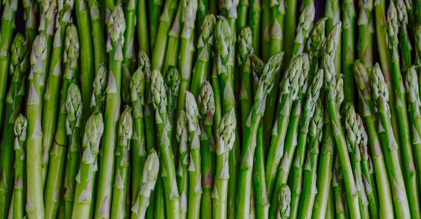 asparagus