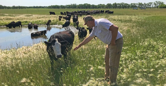 Mark Larson checks on a herd of SimAngus cow-calf pairs 
