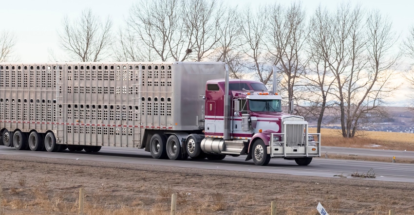 Semi with livestock trailer Semi with livestock trailer
