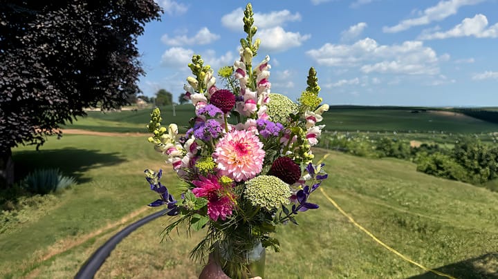 Garden secrets: How to make your cut flowers last twice as long