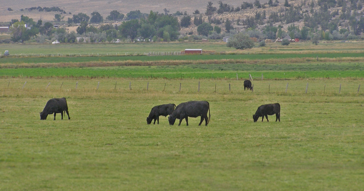 Wyoming land values not keeping up in West