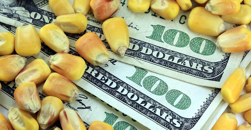 Corn kernels with 100 dollar bills 