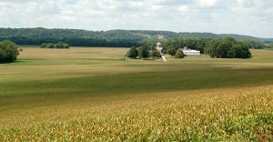 scenic farmstead and cornfield