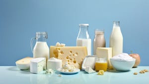 A product shot of various dairy products included cheeses and milk in glass jars