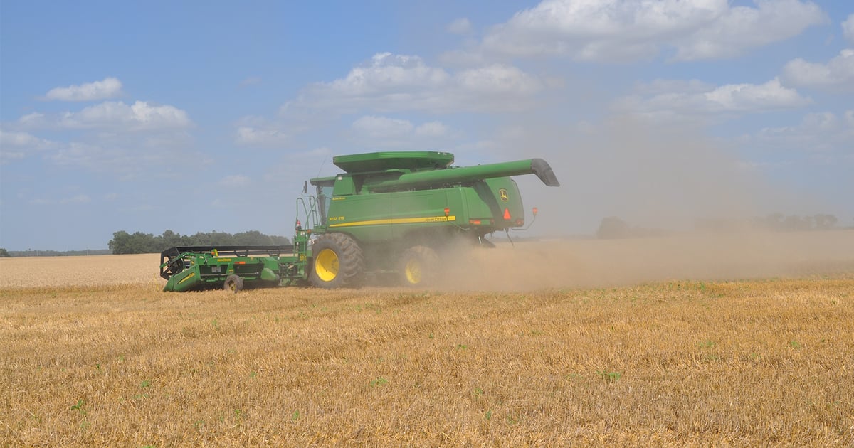 WestBred releases 10 new wheat varieties