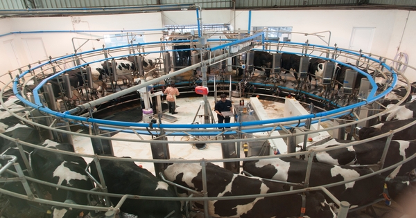 Touring a high-tech dairy farm in Uruguay | Farm Progress