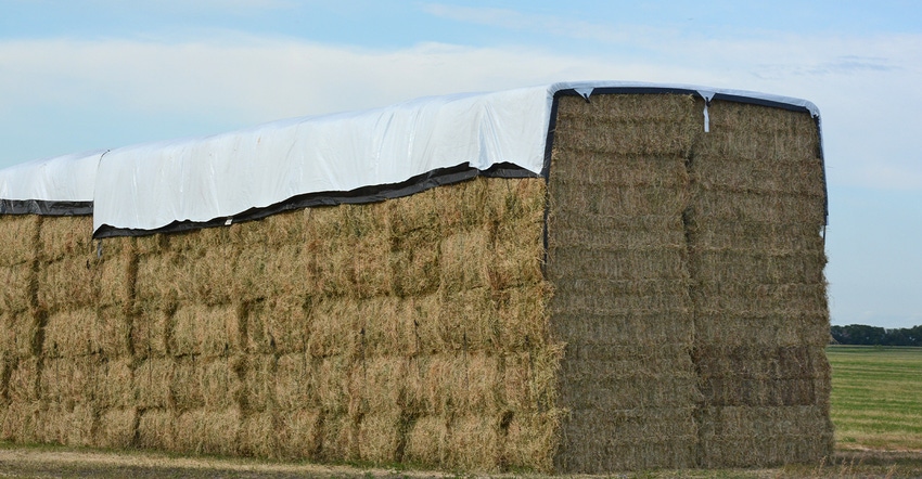 stacked bales of hay covered by tarp