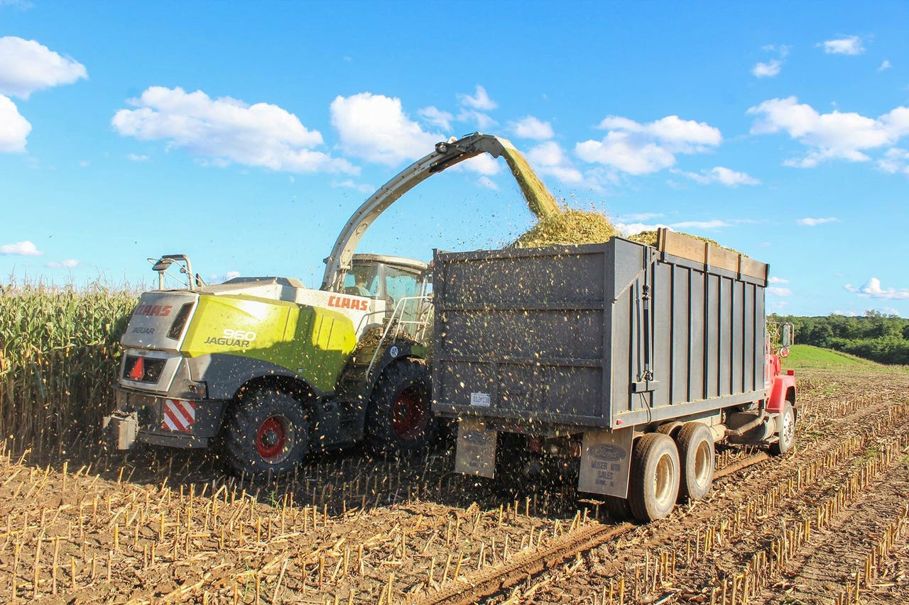 A Claas 960 Jaguar harvesting corn for forage and grain