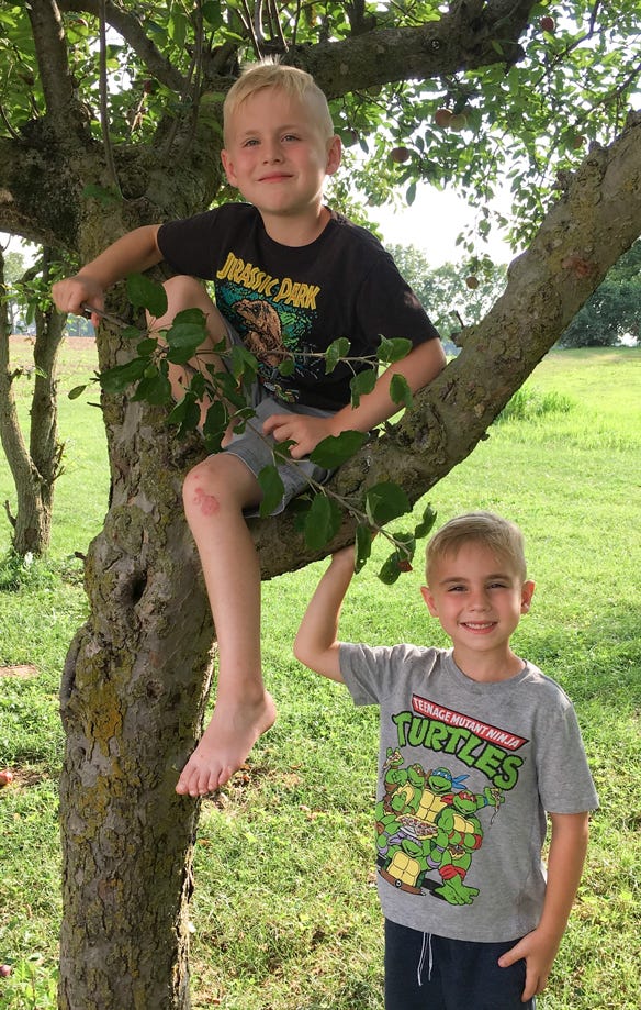 young boys with apple tree