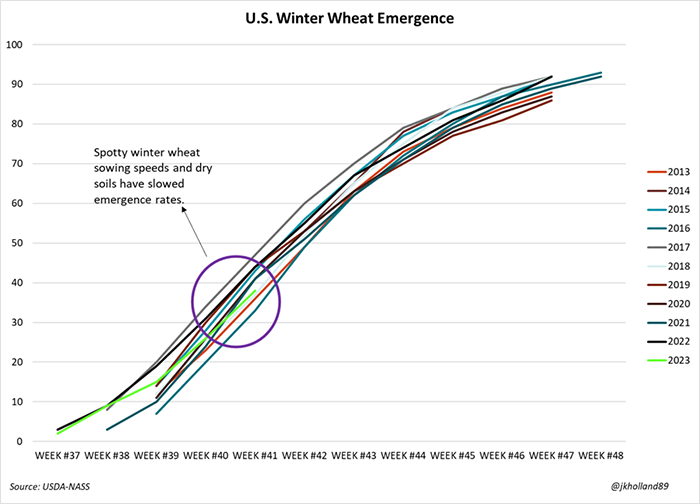 US winter wheat emergence 