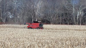 A red tractor harvesting a field