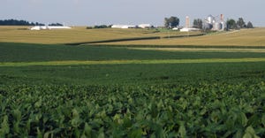 Landscape view of corn and soybean fields with farm buildings on horizon