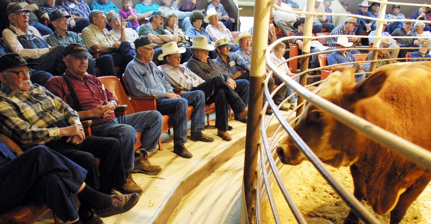 Ranchers look on from the bleachers during a livestock auction 