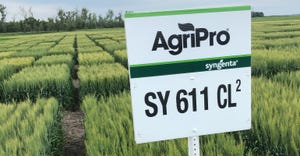 AgriPro wheat variety plots 