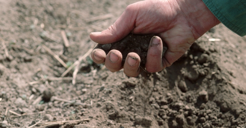 Hand holding soil