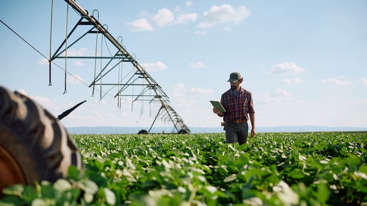 5 tips from an economist to maximize farm success