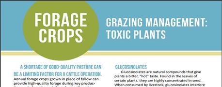 k_state_offers_new_forage_crops_guide_1_635978049925742167.jpg