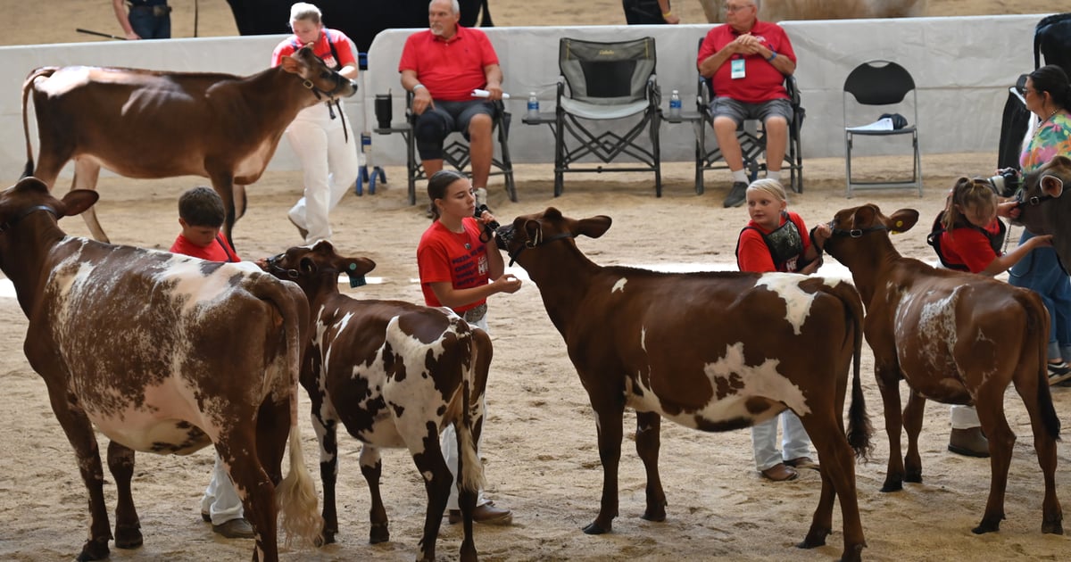 Nebraska State Fair brings big numbers for livestock