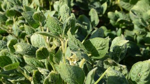 Dicamba application date changes