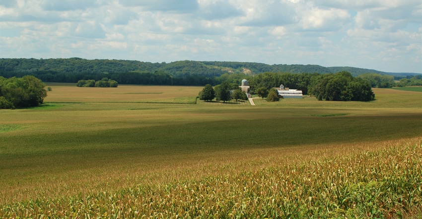 scenic view of cornfield and farm
