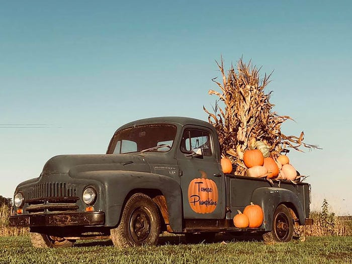 A vintage, dark green pickup truck decorated with pumpkins and harvested, dry corn stalks with an orange pumpkin painted on the driver side door that reads Tomac Pumpkins