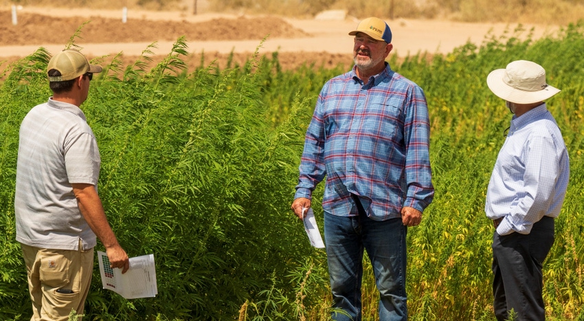 wfp-fitchette-hemp-trial-4591-web.jpg wfp-fitchette-hemp-trial-4591-web.jpg