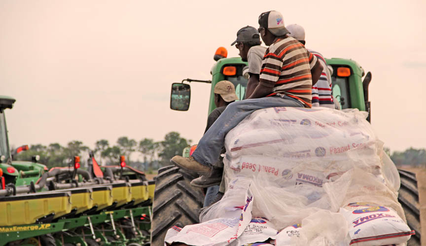 Photos First day peanut planting at Omega Farms Farm Progress