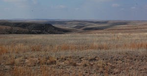 Pasture in Kansas recovering from the 2017 Starbuck Wildfire