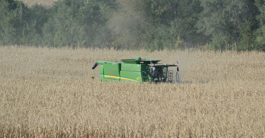 combine harvesting soybeans in field
