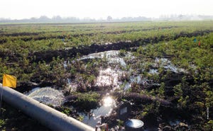 Groundwater recharge in field