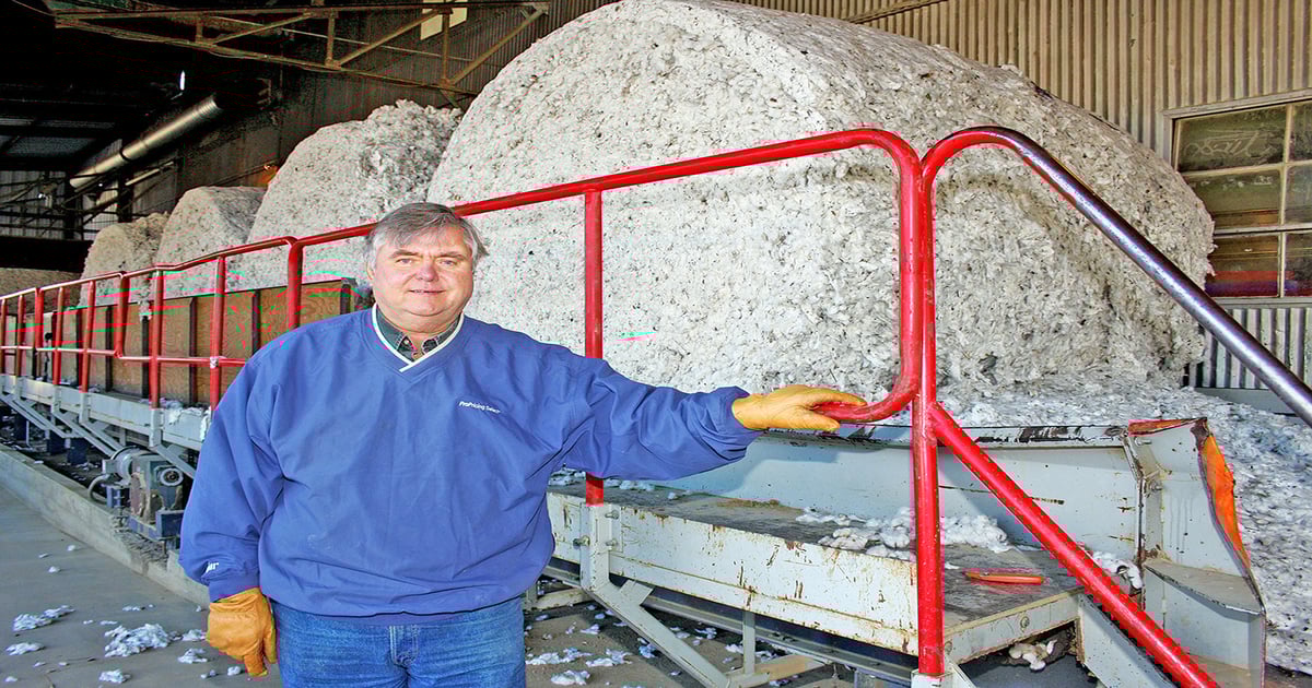 Holt Shoaf Cotton mainstay for Tennessee family