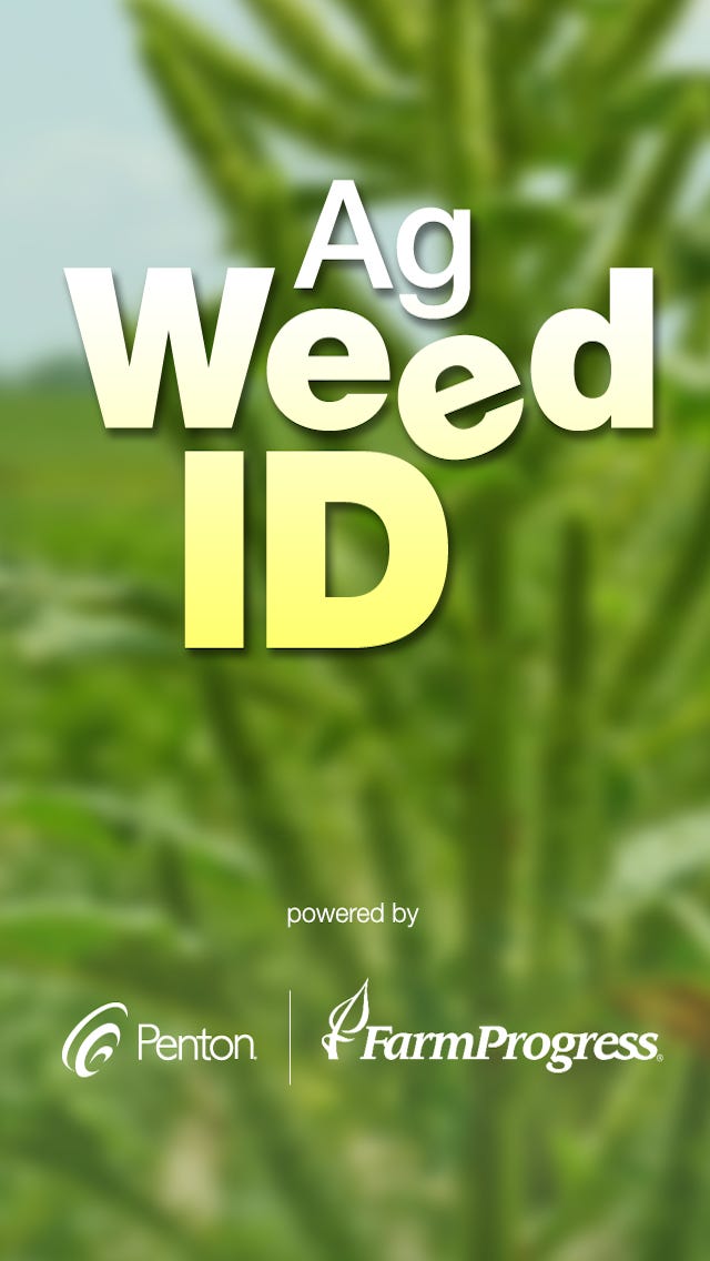 Weed Color Code Id Weed identification mobile app available | Farm Progress