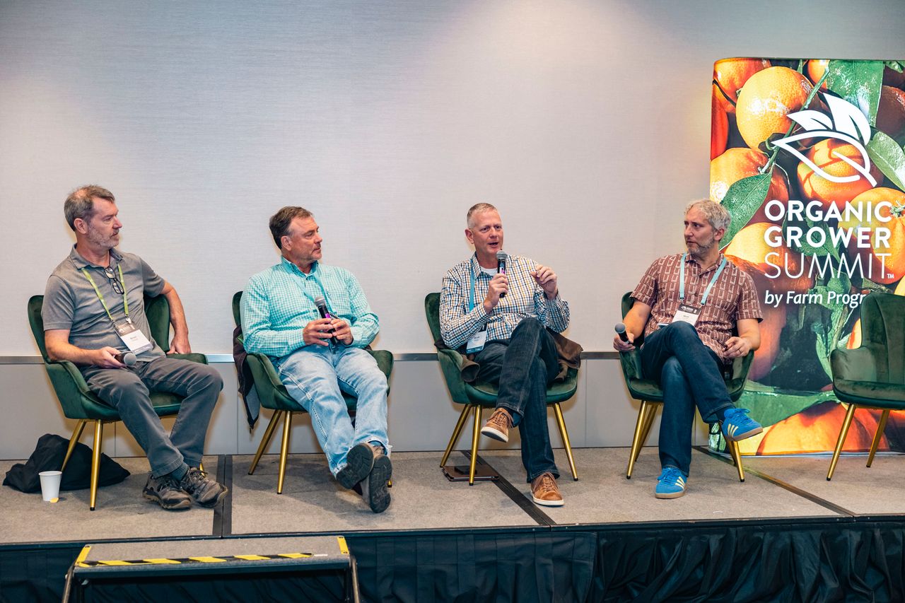 Feral hogs: how quickly can they reproduce?