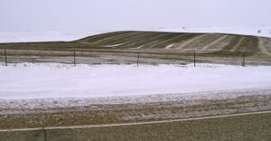 manure inf field covered with snow