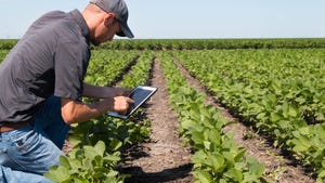 Agronomist using tablet to input data while kneeling in soybean field