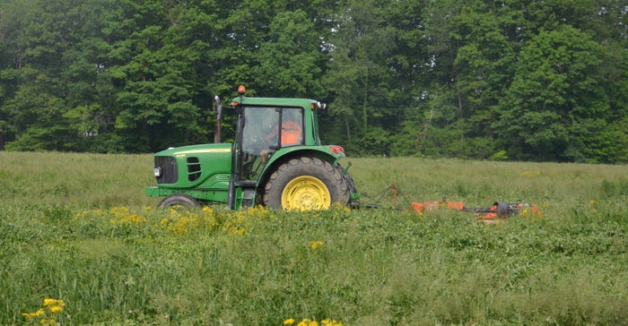 Roger Wenning mows strips in this clover cover crop field 