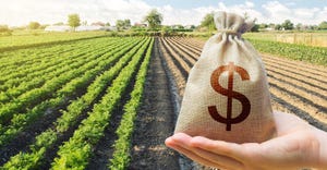 Hand holds out a dollar money bag on a background of a carrot plantation. 