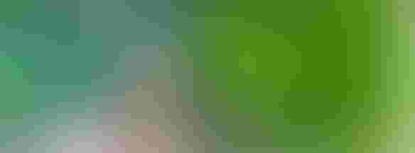 0427H2-1575B-584x216.jpg 0427H2-1575B-584x216.jpg