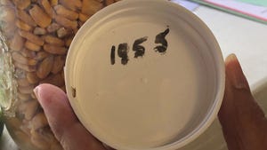  A white lid with 1,855 written in black marker and a quart glass jar with corn kernels in the background