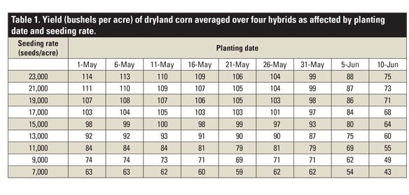 Yield (bushels per acre) of dryland corn averaged over four hybrids as affected by planting date and seeding rate table