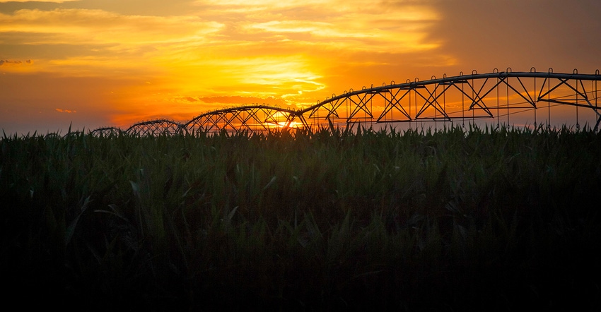 irrigation at sunset