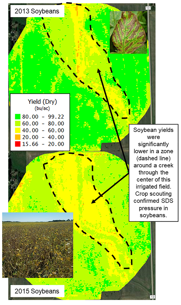 Looking for return on investment from yield maps?