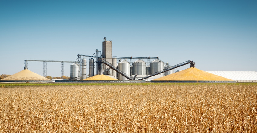 Corn harvest and silos