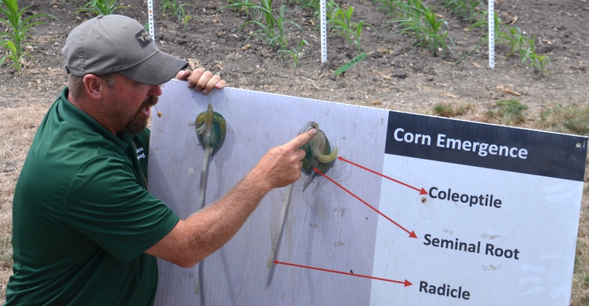 Jason Webster explains that how the corn kernel is placed in the furrow can impact things like emergence efficiency and leaf 