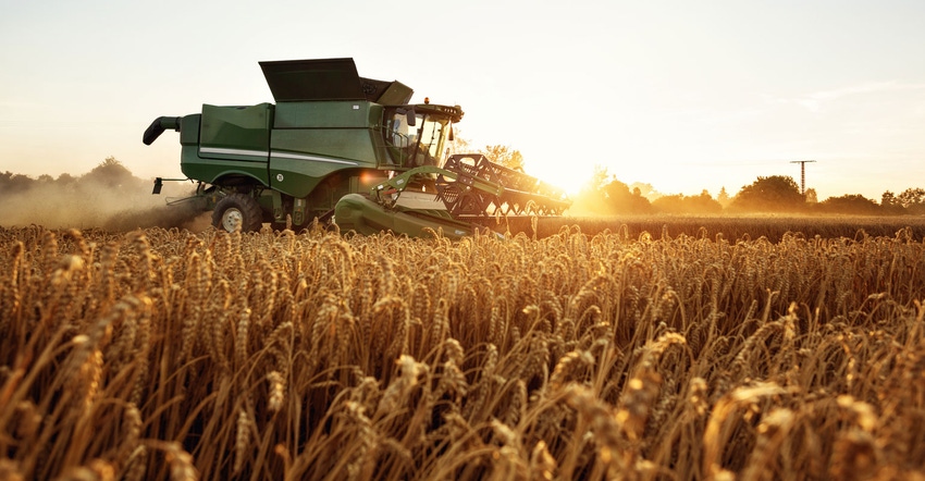 Combine harvesting wheat Combine harvesting wheat