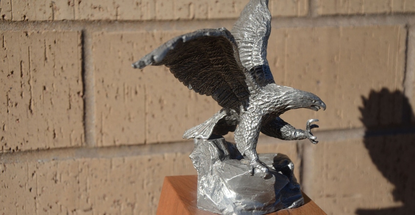 the silver eagle award 
