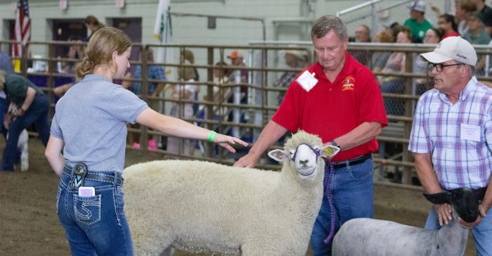 Taylor Cattin of Kenmare N.D. directs Representative Don Longmuir  and Senator Jay Elkin in the sheep class. 