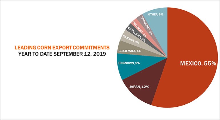 Weekly Export Sales – stronger totals than expected