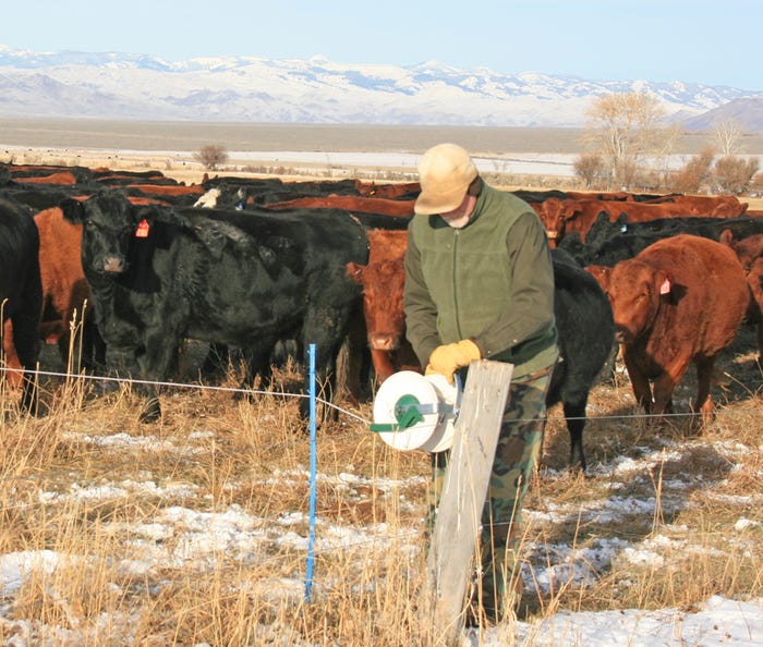 Jim Gerrish creates grazing paddock with electric fence for Red and Black Angus herd