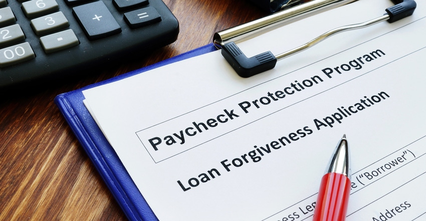 Paycheck protection program ppp loan for small business forgiveness application.